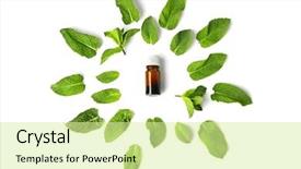  Presentation with essential oil - PPT theme consisting of bottle of essential oil background and a blonde colored foreground