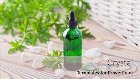  Presentation with geranium - PPT theme consisting of bottle-of-geranium-essential-oil background and a lemonade colored foreground