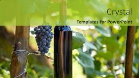  Presentation with bottle red wine - 