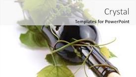  Presentation with vine wine - 