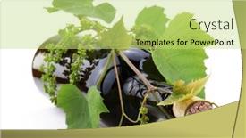  Presentation with vine wine - 