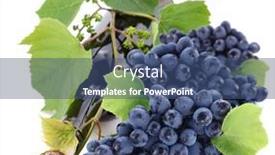  Presentation with vine wine - 