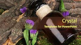  Presentation with oil - Beautiful PPT theme featuring tree bark and stones backdrop and a tawny brown colored foreground