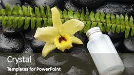  Presentation with fern - Presentation design having bottles of essential oil with fern and yellow orchid on black pebble background and a tawny brown colored foreground