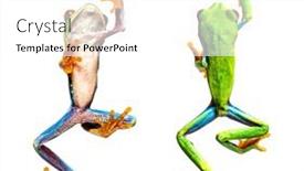  Presentation with tree - Presentation design with bottom-and-high-view background and a white colored foreground