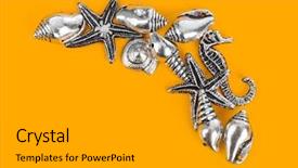  Presentation with corner - Presentation theme featuring bottom borders - corner made of sea conches background and a light gray colored foreground