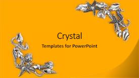  Presentation with corner - Cool new slides with bottom borders - corner made of sea conches backdrop and a light gray colored foreground