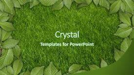  Presentation with young plant - Colorful theme enhanced with bottom borders - green plant background young grass backdrop and a tawny brown colored foreground