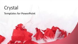  Presentation with red and white rose petals - Presentation theme featuring bottom borders - red rose petals on white background and a  colored foreground