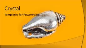  Presentation with sea and beach - PPT layouts with bottom borders - toy sea conch - beach background and a gold colored foreground