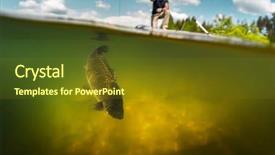  Presentation with fisherman - Colorful slide set enhanced with bottom line - split shot of the fisherman backdrop and a tawny brown colored foreground