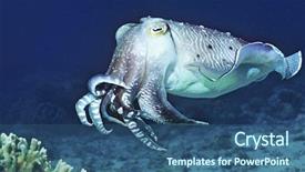  Presentation with fish ocean - Theme featuring bottom of the ocean background and a ocean colored foreground