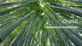  Presentation with kyoto - Slide deck having bottom up - dynamic view of arashiyama bamboo background and a ocean colored foreground
