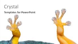  Presentation with electric - Presentation theme consisting of bottom-view-of-gecko-toe background and a white colored foreground