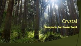  Presentation with recreation - PPT theme featuring bottom-view-of-sunlight-sunbeams background and a tawny brown colored foreground