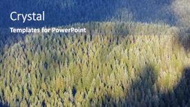  Presentation with tall - Presentation theme with bottom-view-of-tall-trees background and a ocean colored foreground