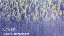  Presentation with tall - Beautiful theme featuring bottom-view-of-tall-trees backdrop and a ocean colored foreground