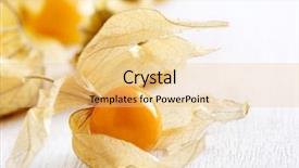  Presentation with guava fruits fresh green fruit - Cool new slides with bouffant cap - physalis fruit closeup groundcherry fruits backdrop and a  colored foreground