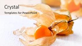  Presentation with fruit - Theme enhanced with bouffant cap - physalis fruit closeup groundcherry fruits background and a  colored foreground