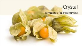  Presentation with frames isolated on white brown - Audience pleasing slides consisting of bouffant cap - physalis peruviana fruit isolated backdrop and a blonde colored foreground