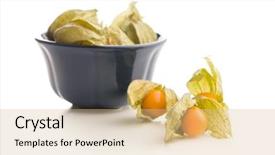  Presentation with leafy produce fruit dairy - Cool new PPT theme with bouffant cap - physalis peruviana fruit isolated backdrop and a  colored foreground