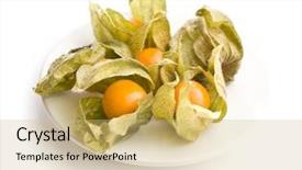  Presentation with amla fruit - Theme with bouffant cap - physalis peruviana fruit on plate background and a yellow colored foreground