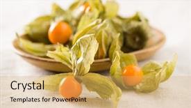  Presentation with papaya tropical fruit vanilla pastel - Audience pleasing theme consisting of bouffant cap - physalis peruviana fruit on table backdrop and a yellow colored foreground