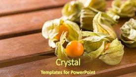  Presentation with fruit - Theme featuring bouffant cap - physalis peruviana fruit on wooden background and a tawny brown colored foreground