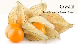  Presentation with background - Cool new presentation design with bouffant cap - ripe physalis isolated on white backdrop and a  colored foreground