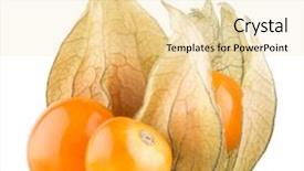  Presentation with ripe golden potato on white - Beautiful presentation theme featuring bouffant cap - ripe physalis isolated on white backdrop and a lemonade colored foreground