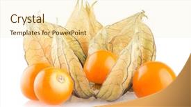  Presentation with ripe golden potato on white - Colorful slide set enhanced with bouffant cap - ripe physalis isolated on white backdrop and a lemonade colored foreground