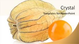  Presentation with ripe golden potato on white - Beautiful PPT layouts featuring bouffant cap - ripe physalis isolated on white backdrop and a  colored foreground