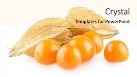 Presentation with ripe golden potato on white - Colorful PPT theme enhanced with bouffant cap - ripe physalis isolated on white backdrop and a  colored foreground