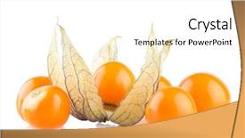  Presentation with ripe golden potato on white - Cool new theme with bouffant cap - ripe physalis isolated on white backdrop and a  colored foreground