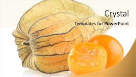  Presentation with ripe golden potato on white - Presentation theme with bouffant cap - ripe physalis isolated on white background and a  colored foreground