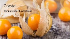  Presentation with ripe golden potato on white - Colorful presentation enhanced with bouffant cap - ripe physalis isolated on white backdrop and a  colored foreground