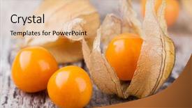 Presentation with ripe golden potato on white - Colorful theme enhanced with bouffant cap - ripe physalis isolated on white backdrop and a  colored foreground
