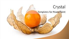  Presentation with ripe golden potato on white - Beautiful PPT theme featuring bouffant cap - ripe physalis isolated on white backdrop and a  colored foreground