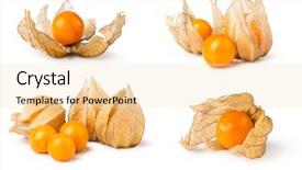  Presentation with ripe golden potato on white - Colorful presentation design enhanced with bouffant cap - ripe physalis isolated on white backdrop and a  colored foreground