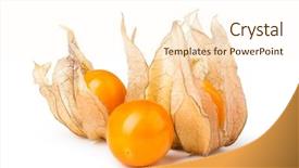 Presentation with ripe golden potato on white - Theme consisting of bouffant cap - ripe physalis isolated on white background and a  colored foreground