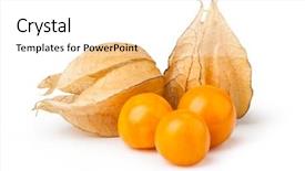  Presentation with ripe golden potato on white - Amazing slide set having bouffant cap - ripe physalis isolated on white backdrop and a  colored foreground