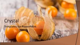  Presentation with ripe golden potato on white - Theme featuring bouffant cap - ripe physalis isolated on white background and a  colored foreground