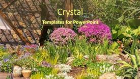  Presentation with bougainvillea - Presentation theme having bougainvillea-or-bougainvillea background and a tawny brown colored foreground