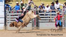  Presentation with boulder - Slides featuring boulder-august-27th-unidentified-cowboy background and a coral colored foreground