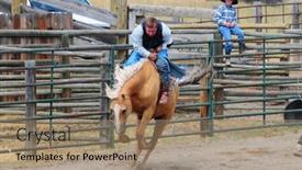  Presentation with boulder - 