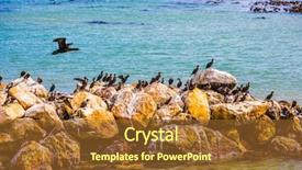  Presentation with space colony - Colorful slides enhanced with boulders penguin colony backdrop and a red colored foreground