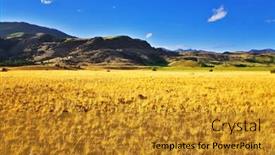  Presentation with grunge american football field - Slides consisting of food security - boundless fields on the american background and a gold colored foreground