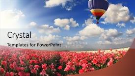  Presentation with color pink - Colorful slides enhanced with boundless-fields-with-blossoming-pink backdrop and a light blue colored foreground