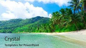  Presentation with dream - Theme having hawaii - shore dream palms background and a seafoam green colored foreground