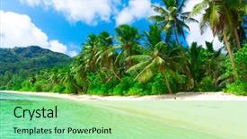  Presentation with dream - Amazing PPT theme having beach trees - shore dream tranquility backdrop and a seafoam green colored foreground